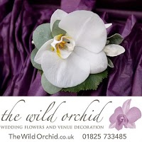 The Wild Orchid 1091912 Image 6